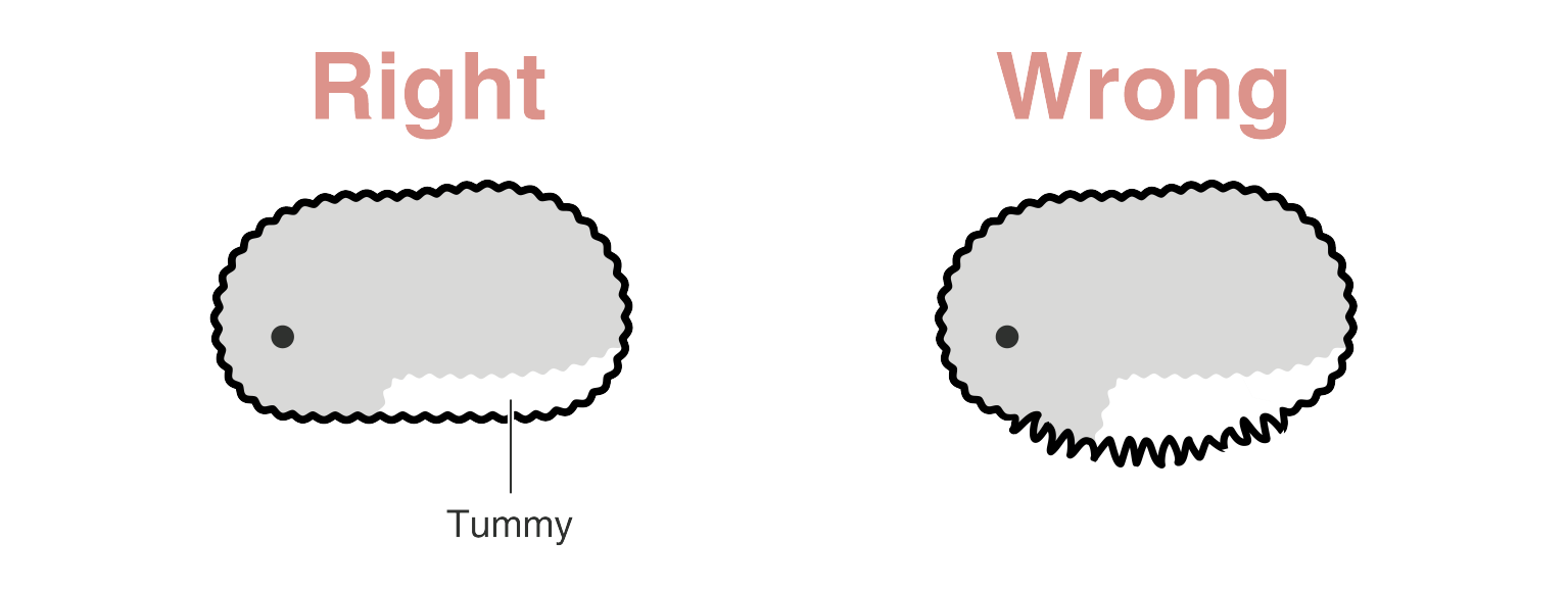 charge_point_sakadatuke EN